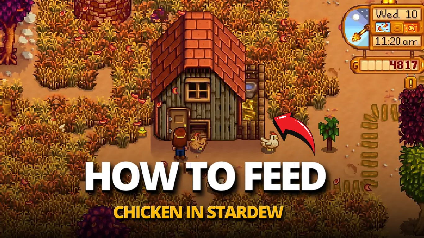 How to Feed Chickens in Stardew Valley